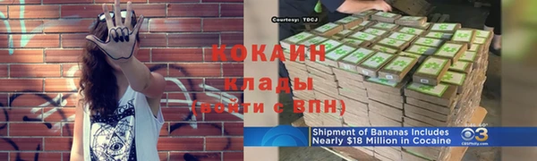стаф Зеленокумск