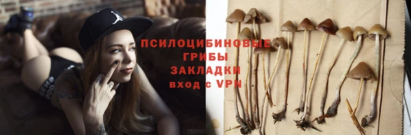 стаф Зеленокумск