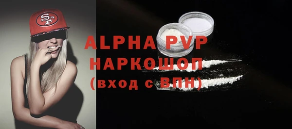 стаф Зеленокумск