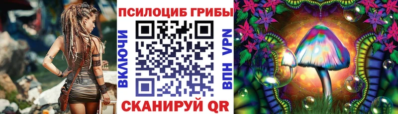 Псилоцибиновые грибы MAGIC MUSHROOMS  Купить где  Сухиничи 